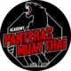 Panteras academy